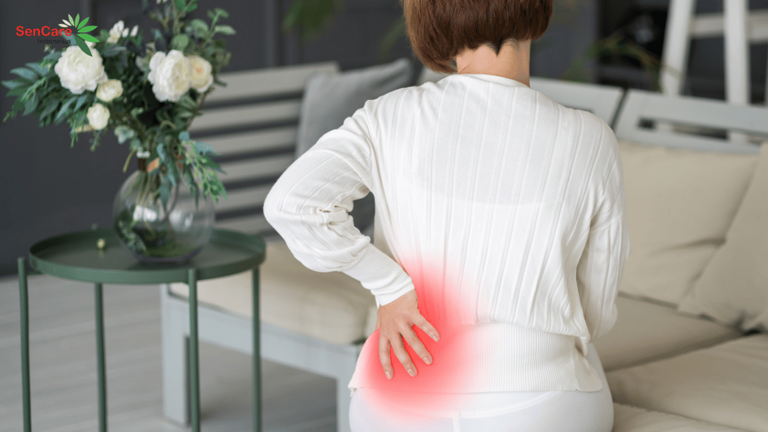 Pentingnya Ranjang Pasien untuk Lansia dengan Osteoporosis Parah